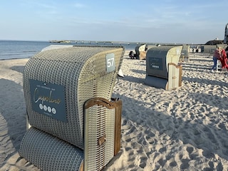 Seemöwe-Strandkorb bei Capolino (300m)