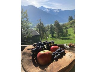 Appartamento per vacanze Hippach Ambiente 18