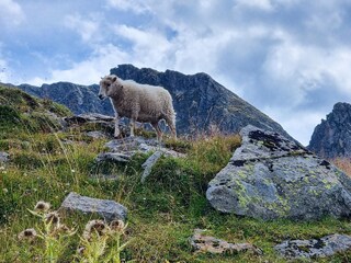 Holiday apartment Hippach Environment 19