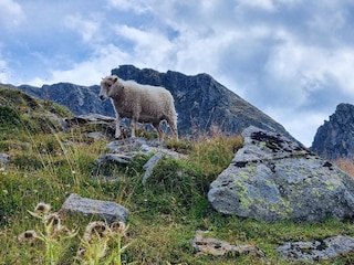 Wanderung