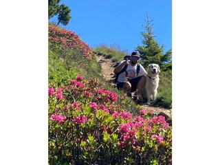 Appartamento per vacanze Hippach Ambiente 20