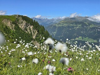 Appartamento per vacanze Hippach Ambiente 21