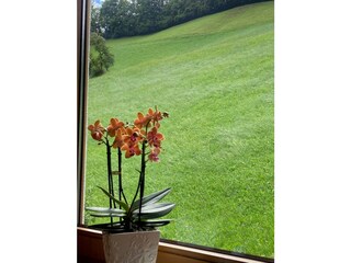Aussicht Balkon