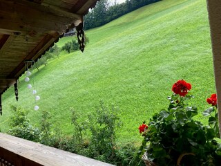 Aussicht Balkon