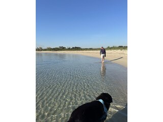 am Hausstrand in Specchiolla5 min entfernt