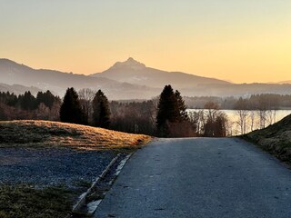 Grüntenblick