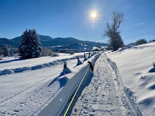 Winter Wonderland