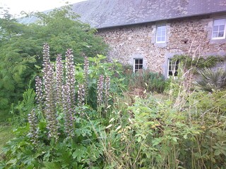 Fassade zum Garten im Süden