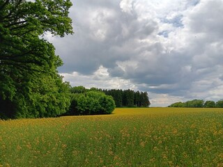 Spaziergang Mariabrunn