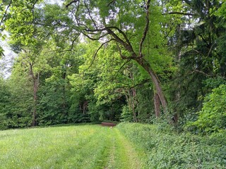 Spaziergang Mariabrunn