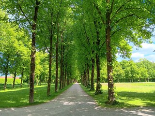 Schlosspark Oberschleissheim