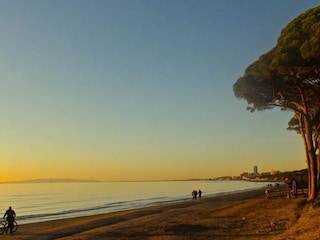 Pinienpark in Follonica