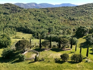 Schöne Umgebung mit eigener Pferdekoppel