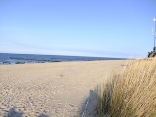 Strand Zempin