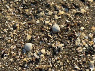 Apartamento de vacaciones Tossens Entorno 33