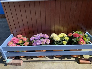 Blumenfreude vor dem Mobilheim