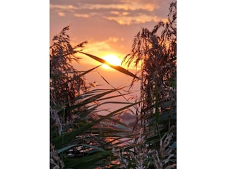 Ferienwohnung Maasholm Umgebung 38