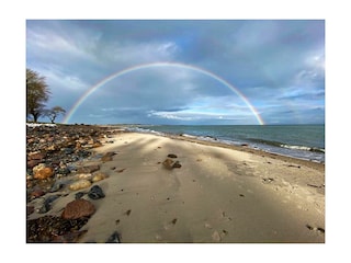 Ferienwohnung Maasholm Umgebung 39