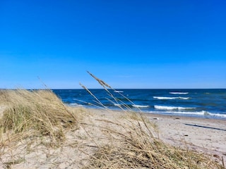 Ferienwohnung Maasholm Umgebung 36