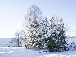 Appartamento Braunlage  45