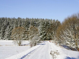 Apartamento Braunlage  45