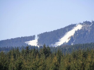 Appartamento Braunlage Ambiente 43