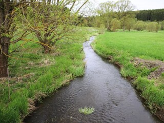 Apartment Braunlage Außenaufnahme 10