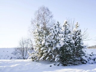 Apartamento Braunlage  47