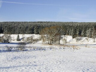 Appartamento Braunlage  48