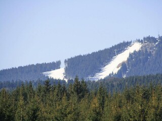 Apartment Braunlage Umgebung 44