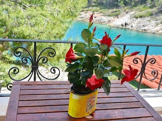 Appartement Basina  26