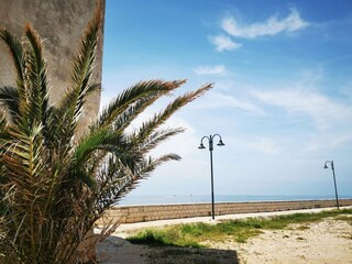 Ferienhaus Umag Außenaufnahme 3