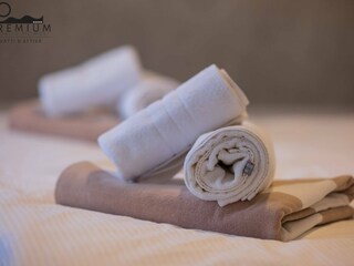 Rulot Drage, Adria Características 16