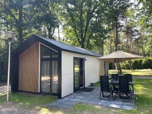 Modernes Chalet in Beekbergen mit Terrasse - Beekbergen - image1