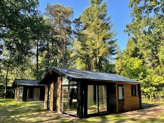 Chalet Beekbergen Outdoor Recording 1