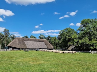 Chalet Beekbergen Umgebung 24