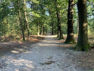 Chalet Beekbergen Environment 15
