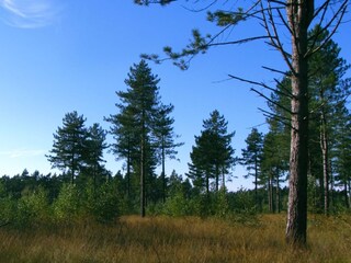 Chalet Beekbergen Environnement 16