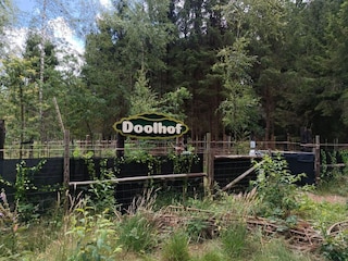 Chalet Beekbergen Umgebung 15