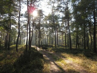 Chalet Beekbergen Environment 24