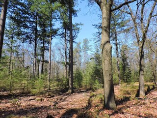 Chalet Beekbergen Environnement 33