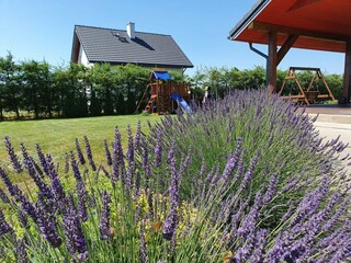 Holiday house Smoldzino Features 47