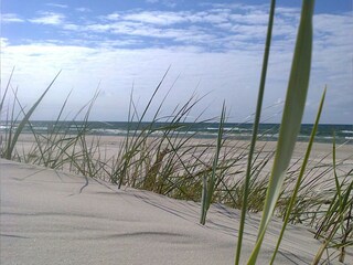 Maison de vacances Smoldzino Équipement 53