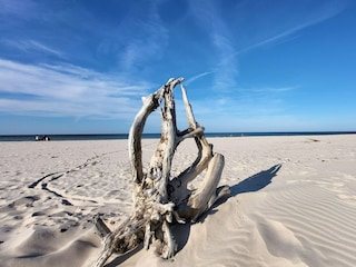 Vakantiehuis Smoldzino Kenmerken 8