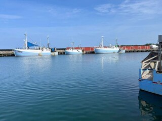 Ferienhaus Læsø  28
