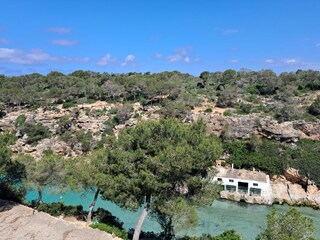 View from terrace
