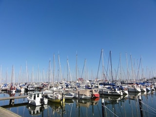 Hafen