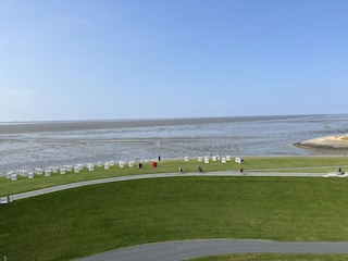 Deichblick