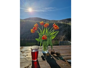 Ferienwohnung Holland Außenaufnahme 6