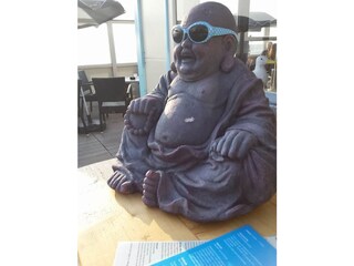 Ferienwohnung Holland Umgebung 31